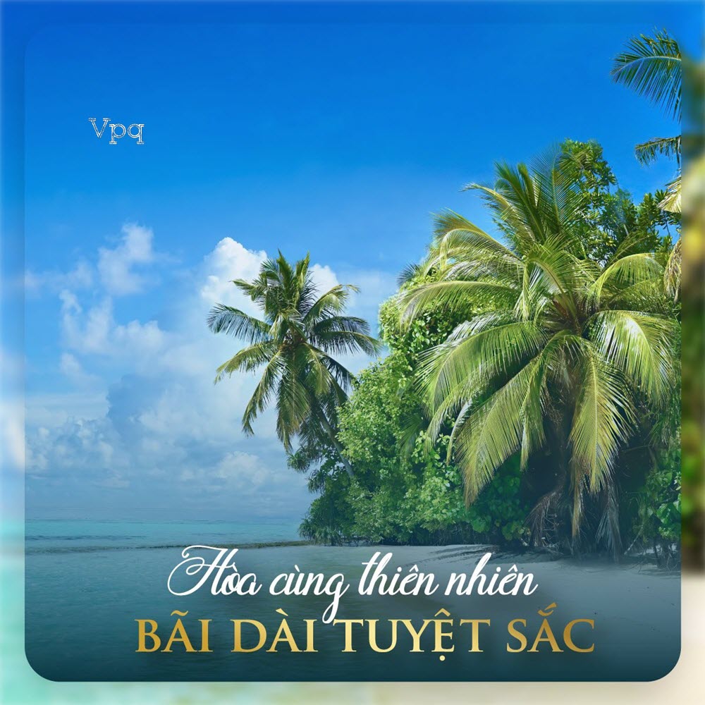 H&ograve;a c&ugrave;ng thi&ecirc;n nhi&ecirc;n B&atilde;i D&agrave;i tuyệt sắc