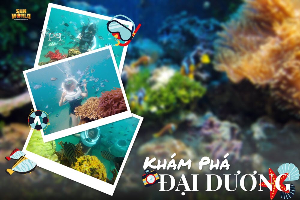 Khám phá thế giới đại dương muôn màu tại Đảo Thiên Đường