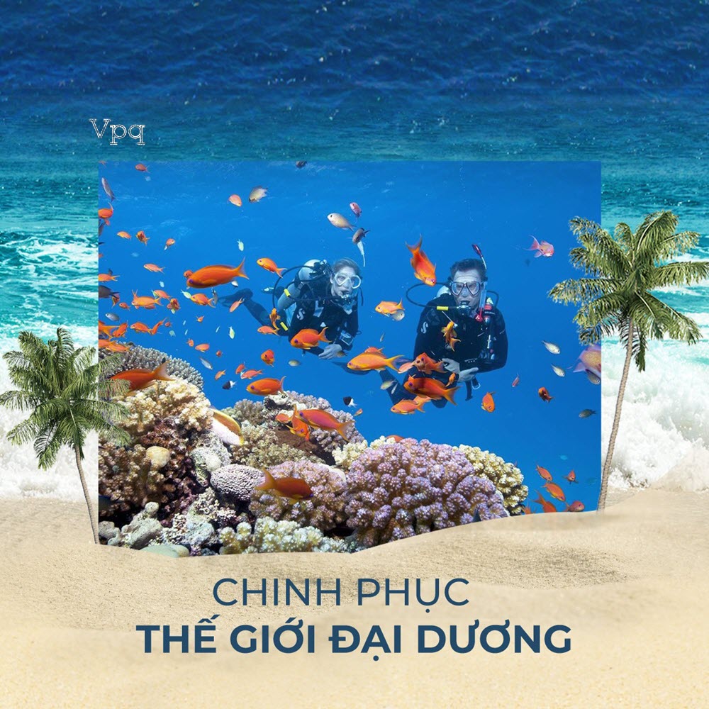 Lặn ngắm san h&ocirc; H&ograve;n Thơm