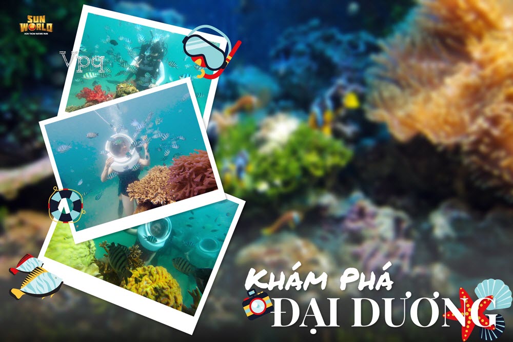 Khám phá Phú Quốc thông qua lăng kính dưới biển sâu