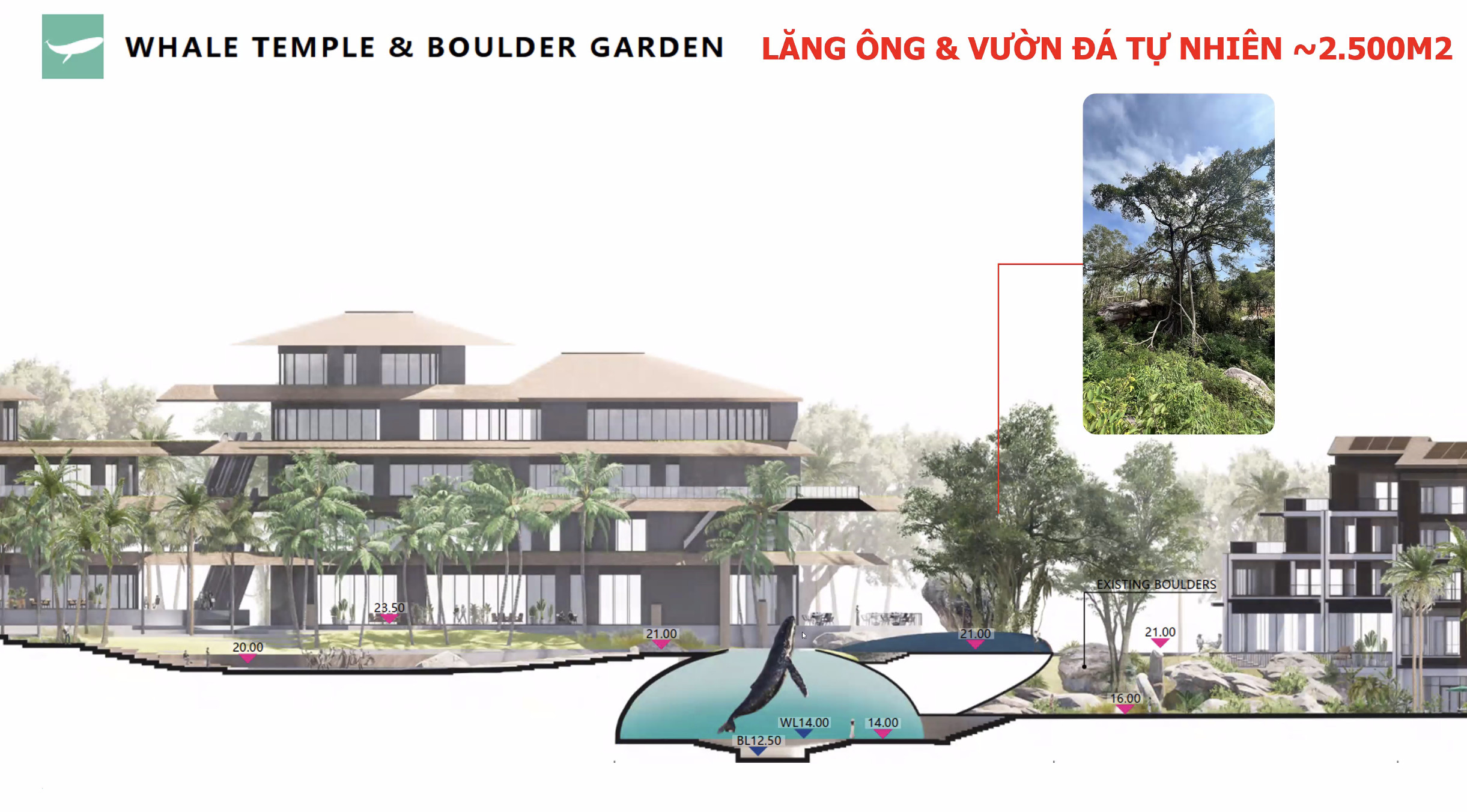 Cấu trúc địa hình khu vực Lăng Ông