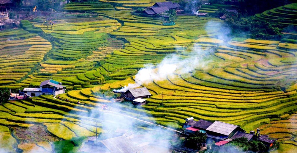M&ugrave;a l&uacute;a ch&iacute;n tại thung lũng Mường Hoa