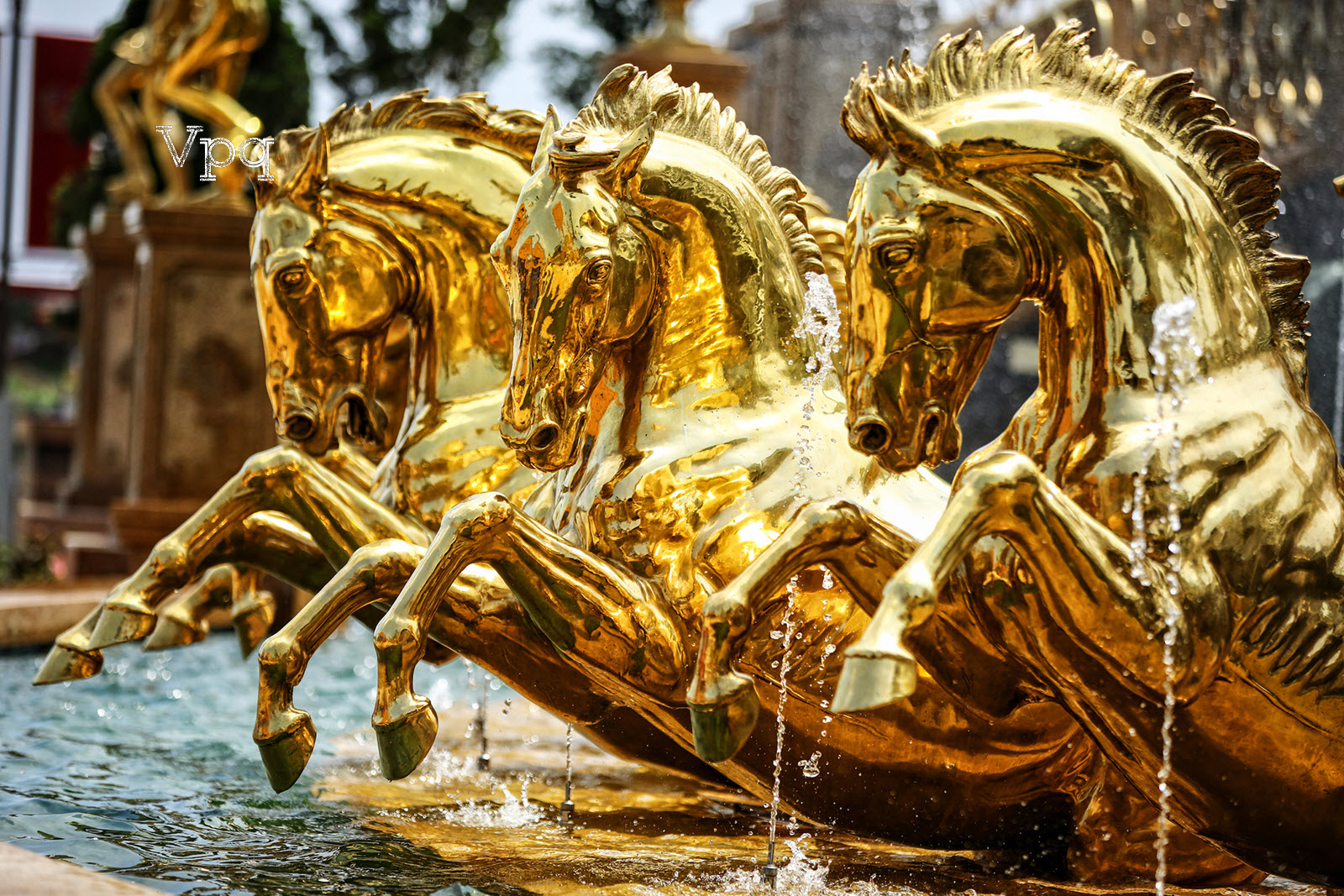 5 ch&uacute; ngựa chiến m&atilde; của thần Helios