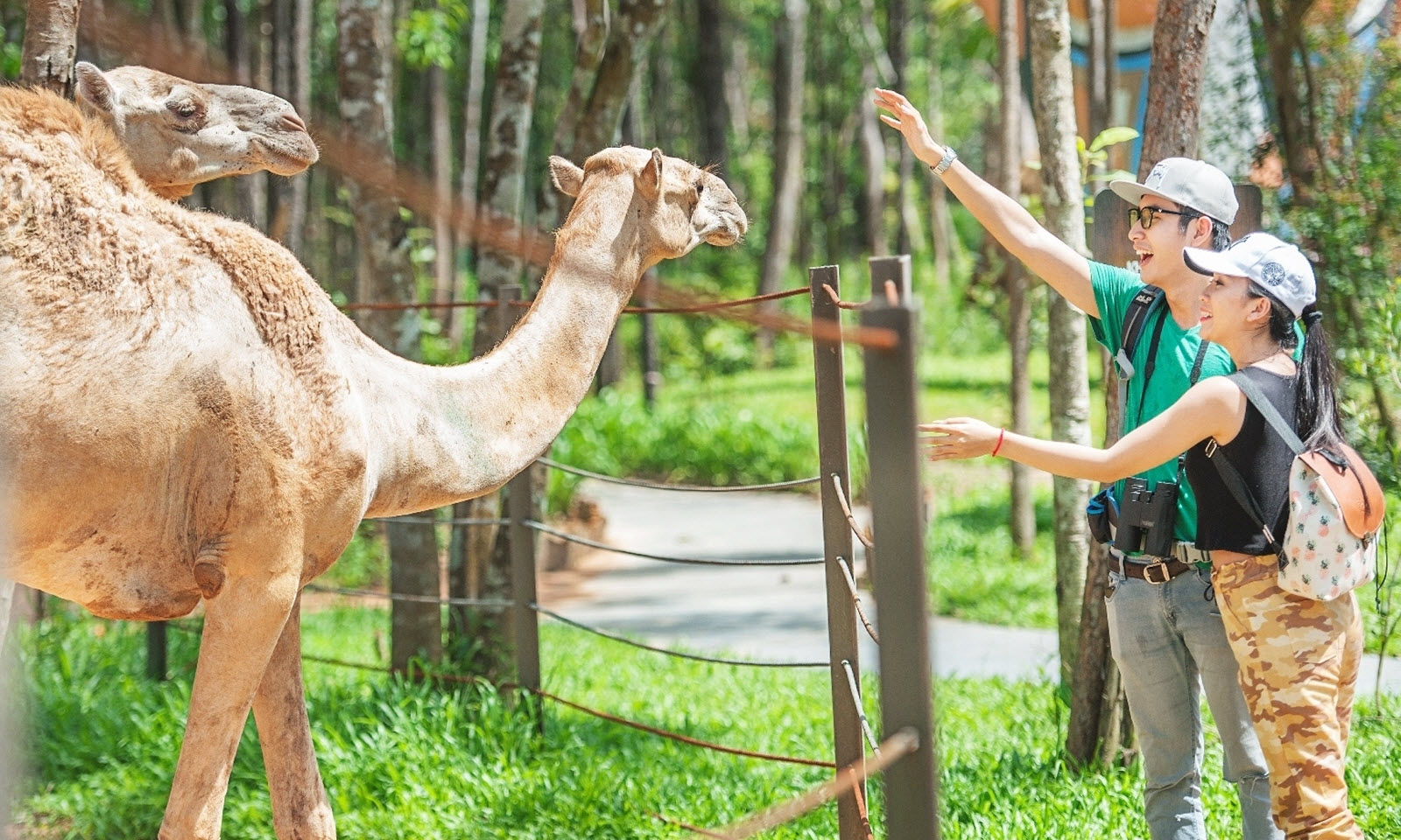 Vinpearl Safari Ph&uacute; Quốc