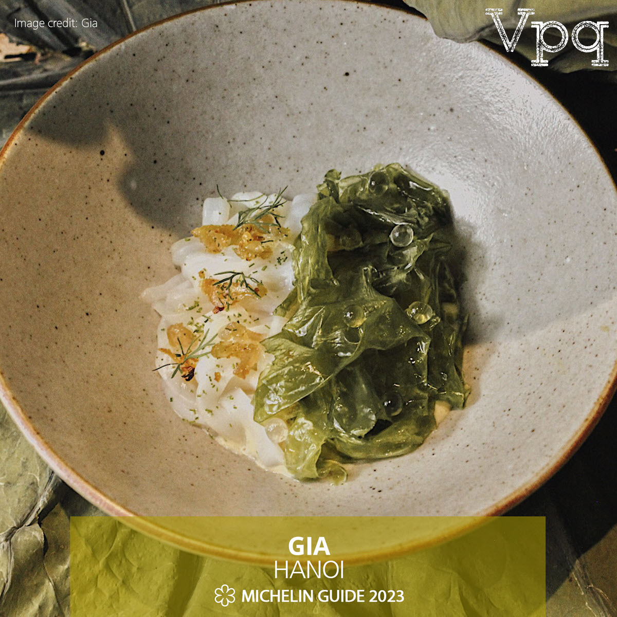 Gia Hà Nội