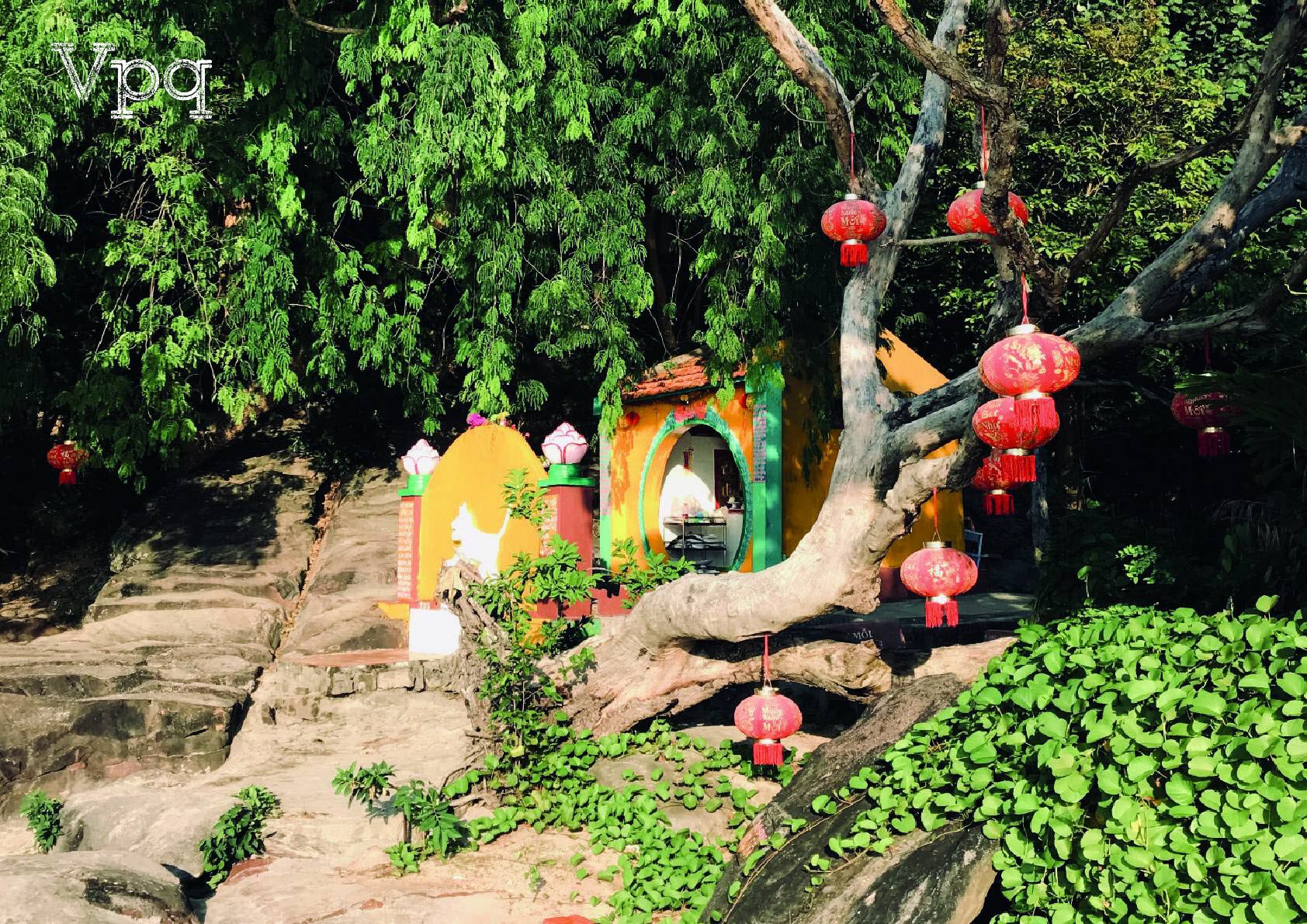 Giếng Tiên Phú Quốc