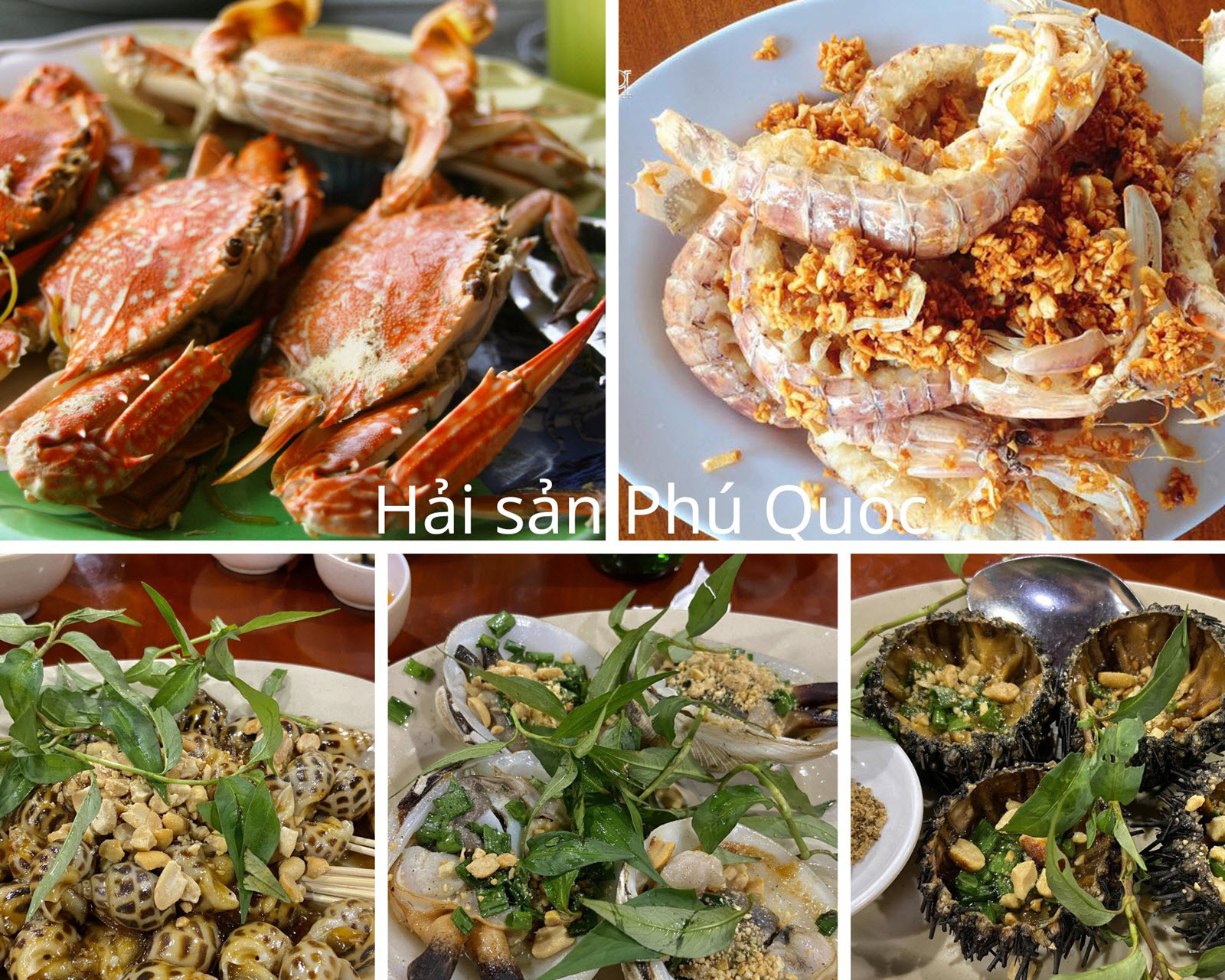Hải sản Ph&uacute; Quốc