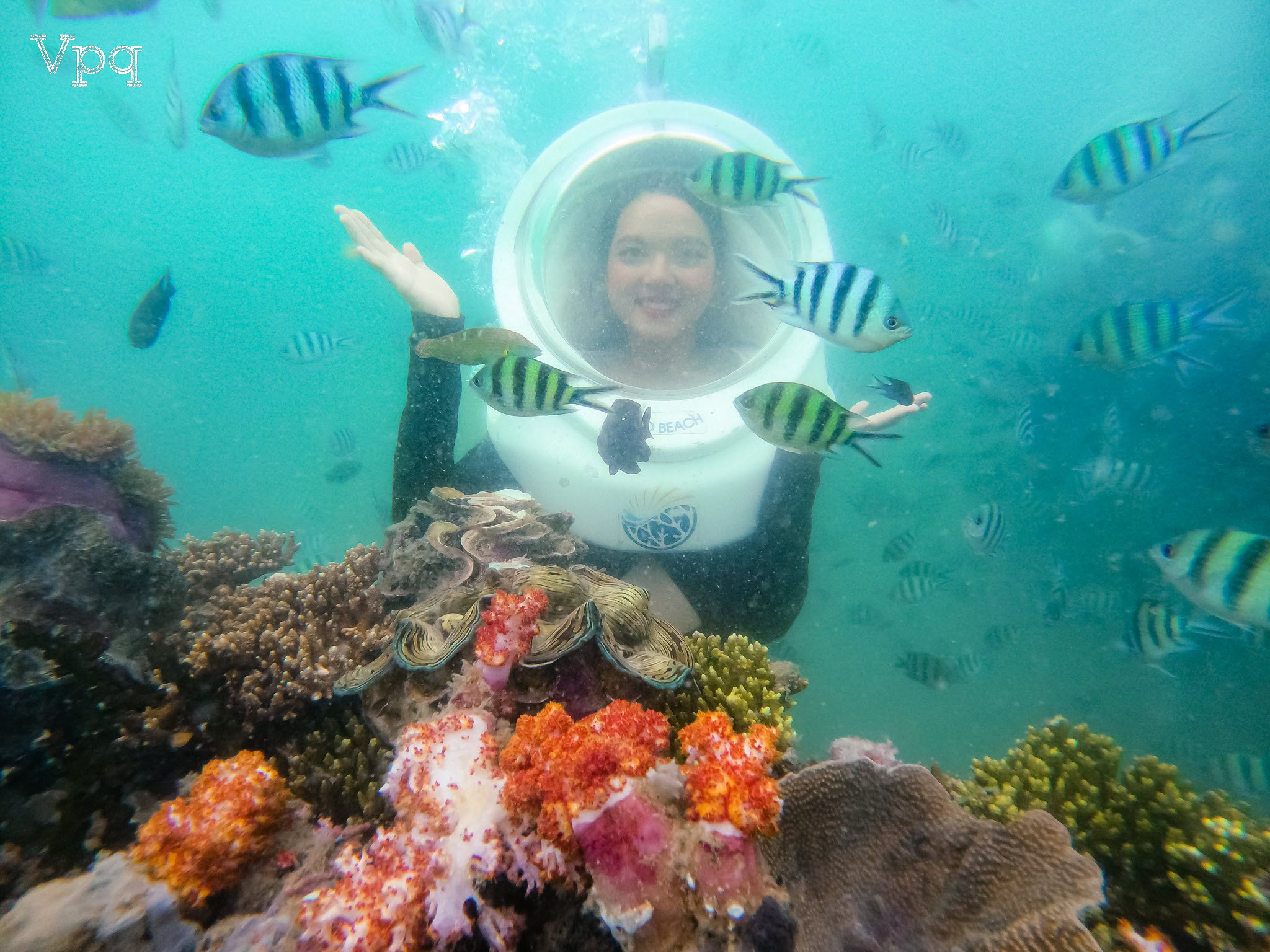 Mô hình trải nghiệm Sea Walker đang chờ đón bạn