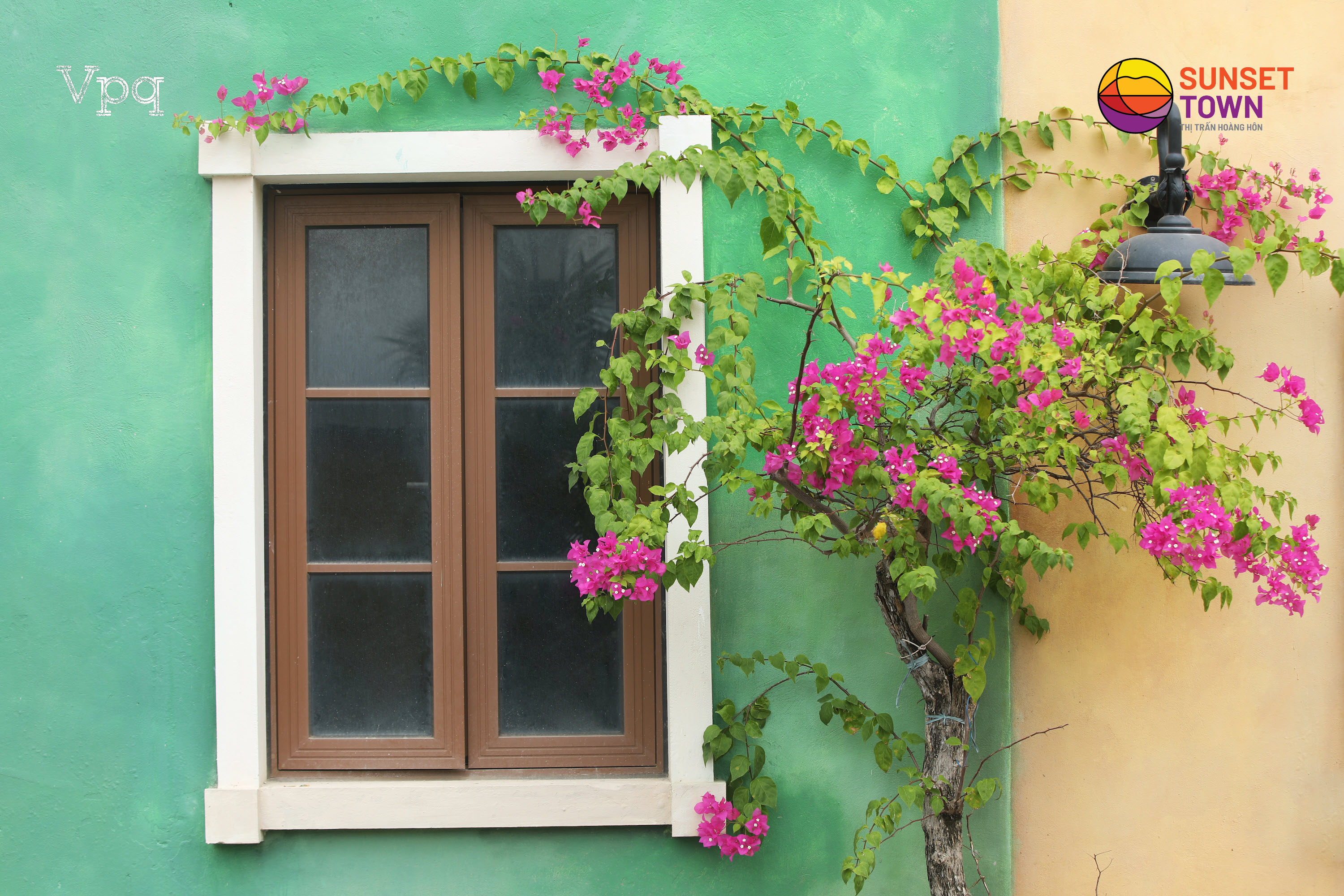 Những &ocirc; cửa căn nh&agrave; đầy hoa l&aacute;