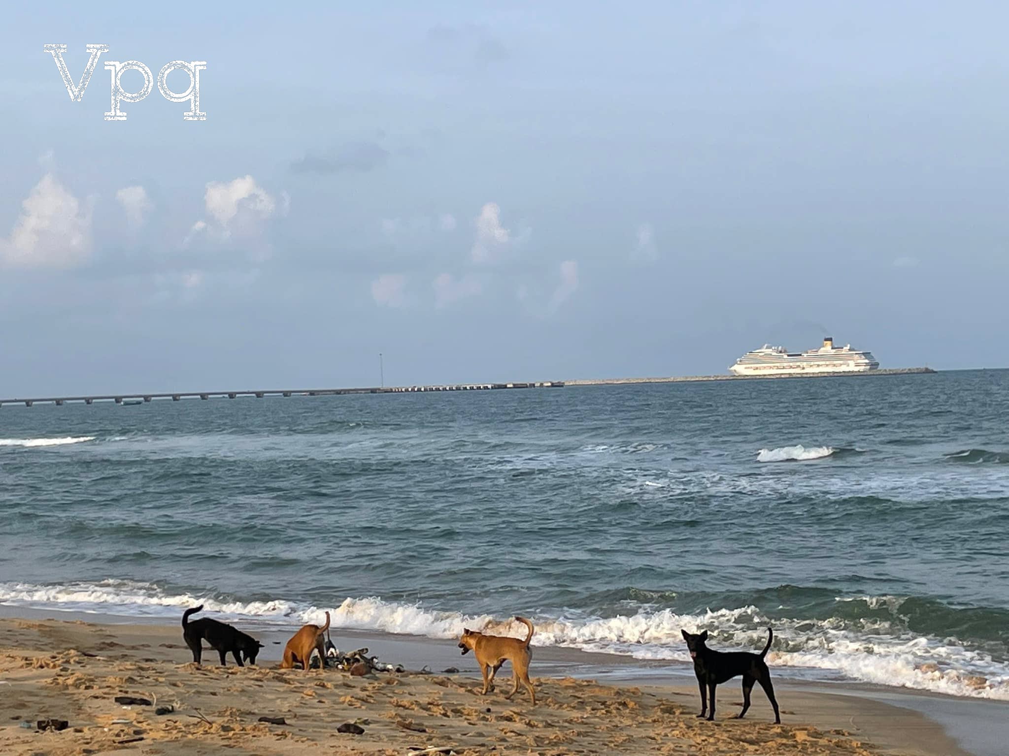 T&agrave;u Costa Serena gh&eacute; Ph&uacute; Quốc - Ảnh 17