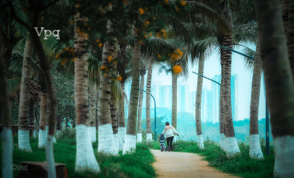 V&agrave; cũng l&agrave; nơi ươm mầm những tương lai tươi s&aacute;ng