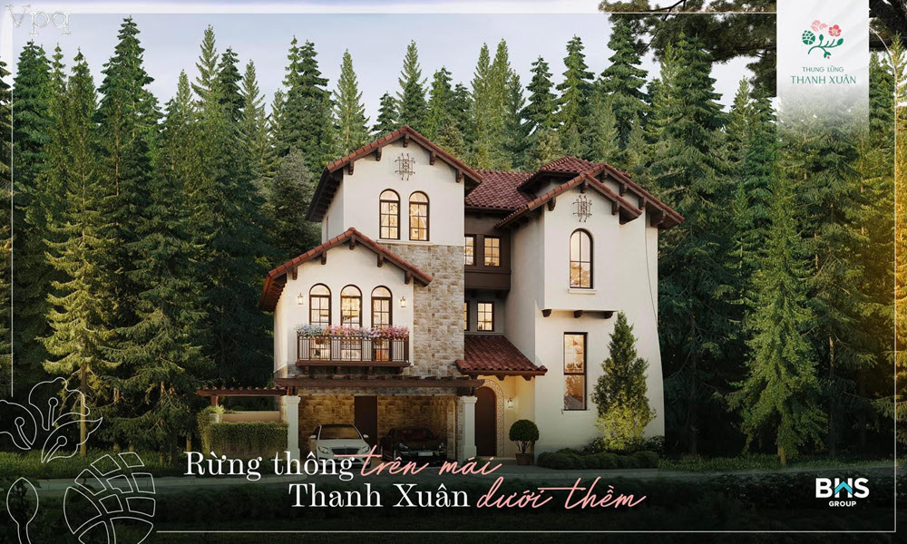 Rừng thông trên mái, thanh xuân dưới thềm