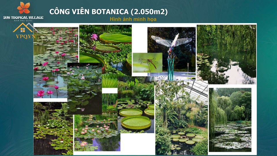 H&igrave;nh ảnh minh họa c&ocirc;ng vi&ecirc;n Botanica