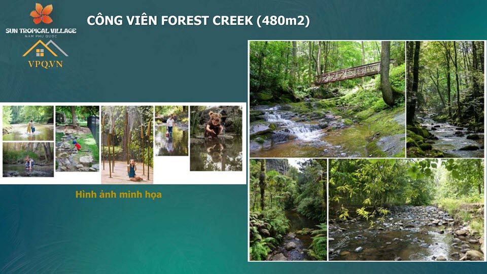 H&igrave;nh ảnh minh họa c&ocirc;ng vi&ecirc;n Forest Creek