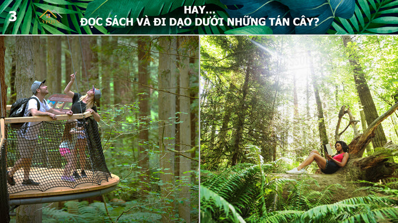 C&aacute;c hoạt động d&atilde; ngoại ngay trong rừng nguy&ecirc;n sinh tại Sun Tropical Village Ph&uacute; Quốc