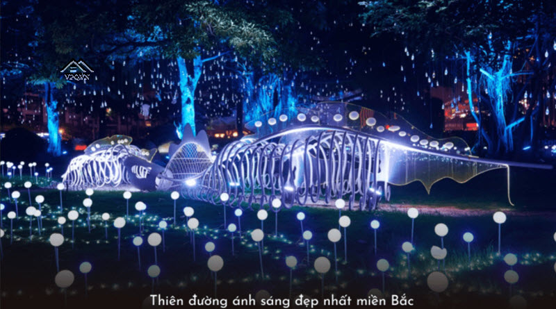 Thiên đường ánh sáng đẹp nhất miền Bắc