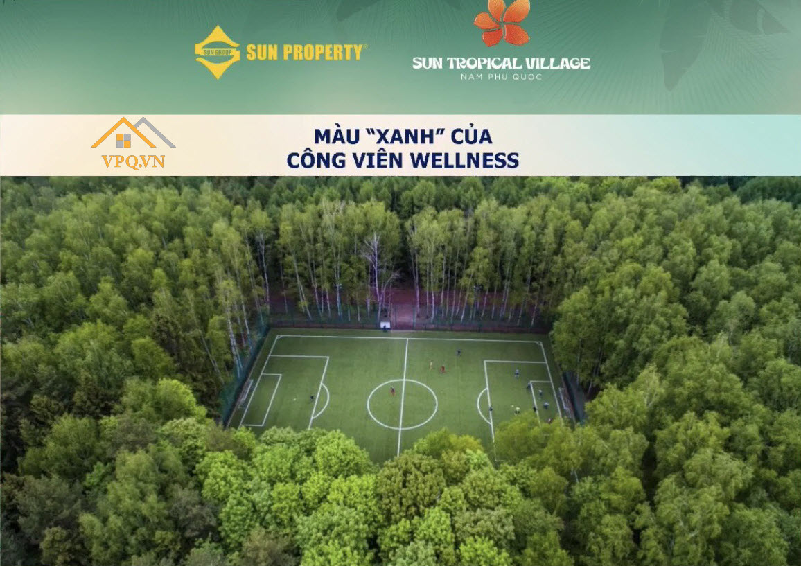 S&acirc;n b&oacute;ng tại c&ocirc;ng vi&ecirc;n Wellness B&atilde;i Kem&nbsp;