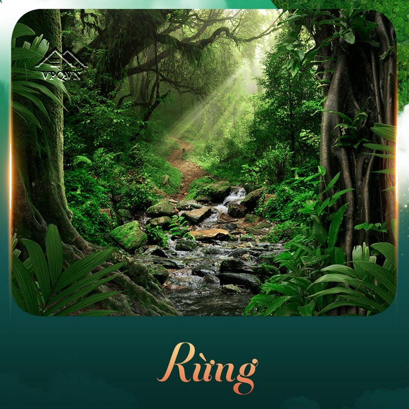 Nh&agrave; trong rừng - sống chan h&ograve;a c&ugrave;ng thi&ecirc;n nhi&ecirc;n l&agrave; một điều đ&oacute; rất xa xỉ