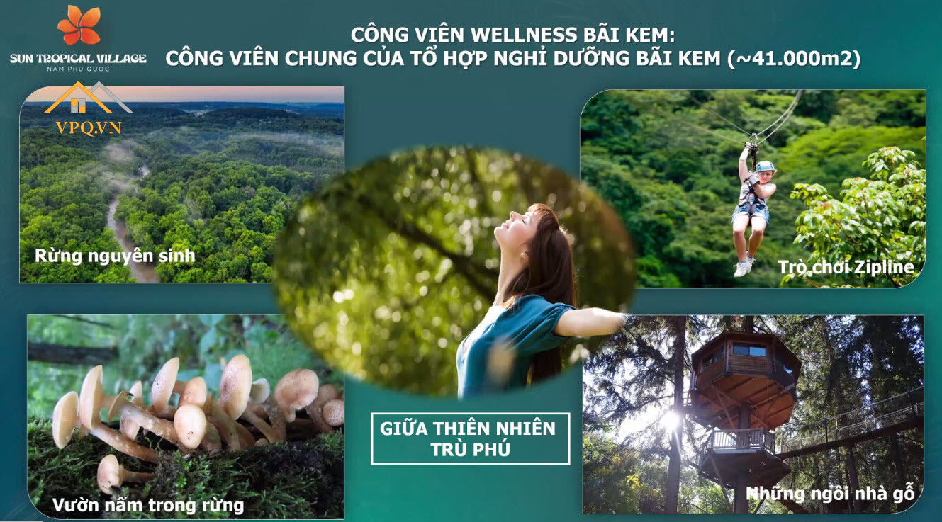 H&igrave;nh ảnh minh họa c&ocirc;ng vi&ecirc;n Wellness B&atilde;i Kem Ph&uacute; Quốc