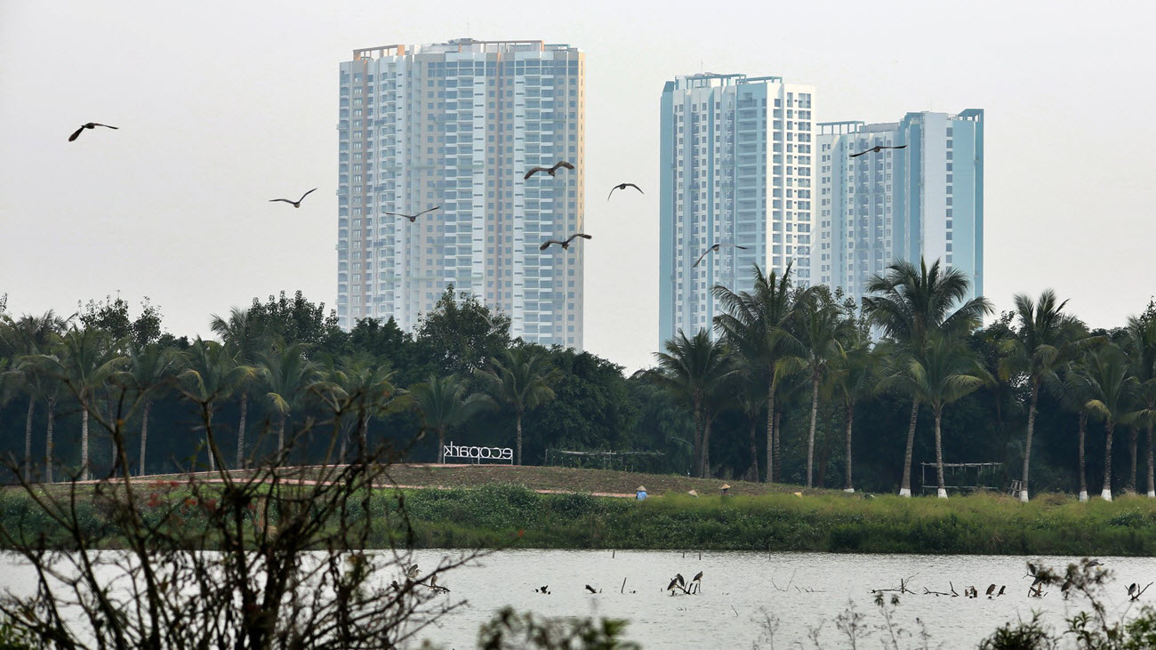 H&atilde;y đến với Swan Lake Park để bạn c&oacute; thể tận mắt ngắm những đ&agrave;n Thi&ecirc;n Nga trong cổ t&iacute;ch