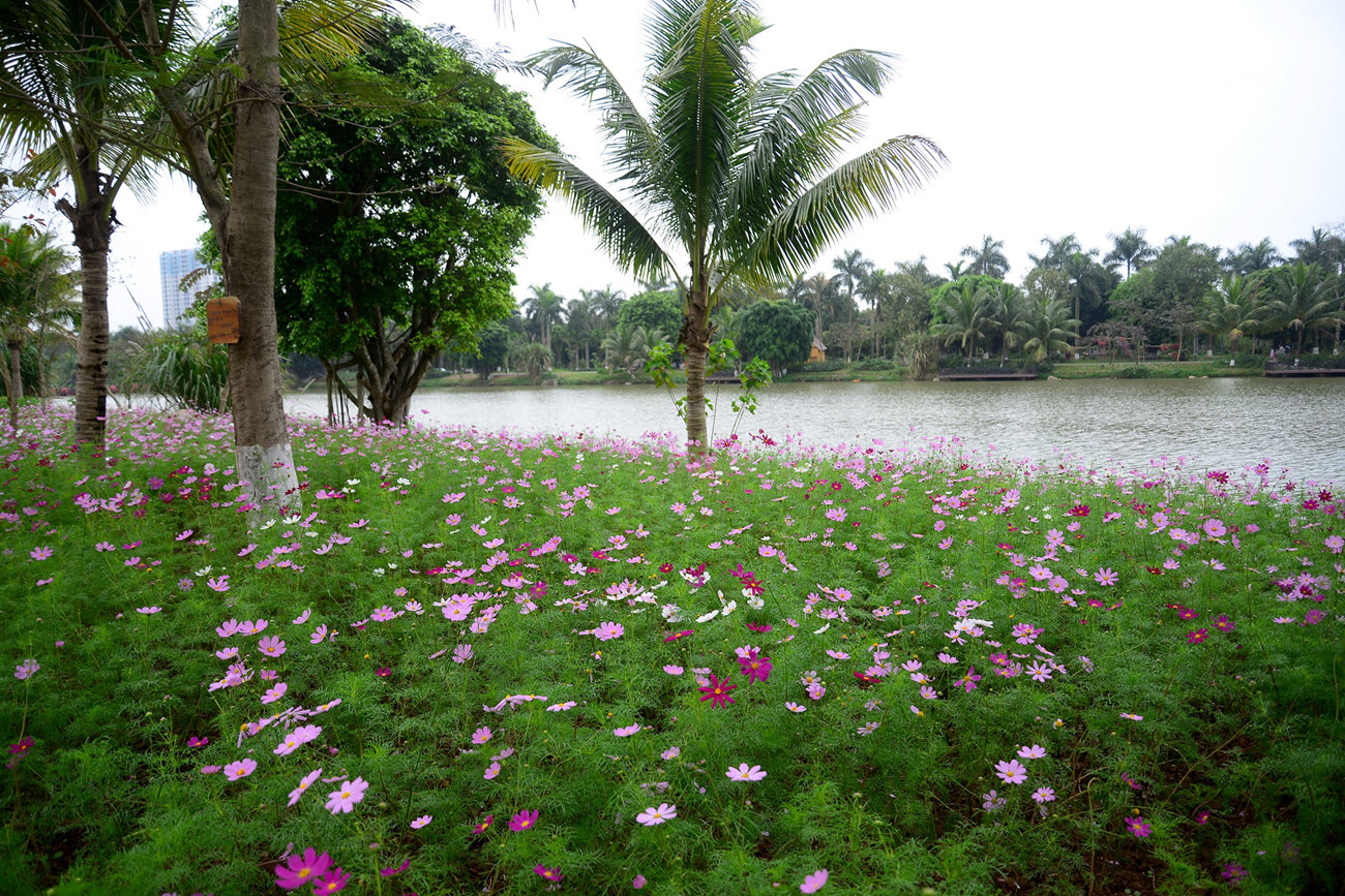 Thi&ecirc;n đường hoa d&agrave;nh cho mẹ v&agrave; b&eacute; tại Swan Lake Park Ecopark