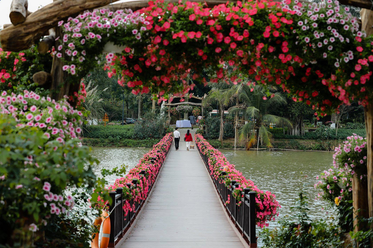 Cầu hoa tuyệt đẹp tại c&ocirc;ng vi&ecirc;n hồ Thi&ecirc;n Nga Swan Lake Park - Ecopark