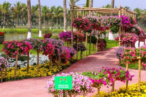 Đến với Swan Lake Park l&agrave; bạn đ&atilde; đến với thi&ecirc;n đường hoa l&aacute;
