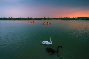 Chi ph&iacute; cho một lần trải nghiệm ch&egrave;o thuyền Kayak tại Swan Lake Park chỉ với 200.000 đồng/h