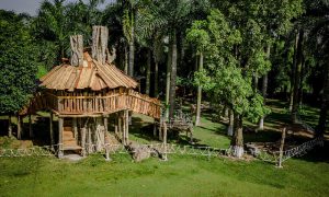 Nh&agrave; gỗ tại c&ocirc;ng vi&ecirc;n hồ Thi&ecirc;n Nga Swan Lake Park